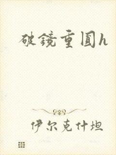 破镜重圆h