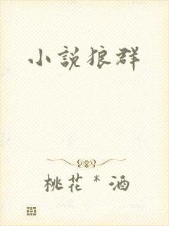 小说狼群