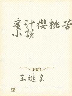 蜜汁樱桃苦咖啡小说