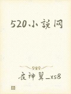 520小说网