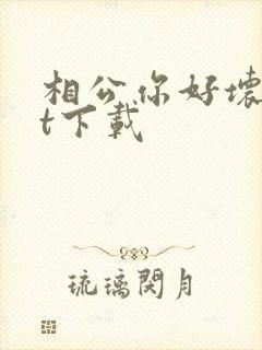 相公你好坏txt下载