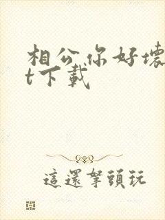 相公你好坏txt下载