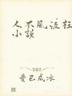 人不风流枉少年小说