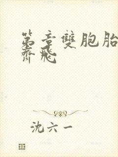 第章双胞胎姐妹齐飞