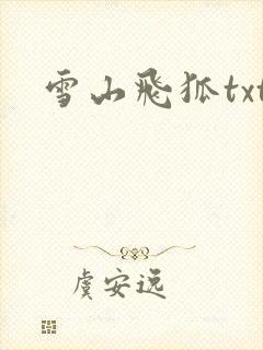 雪山飞狐txt
