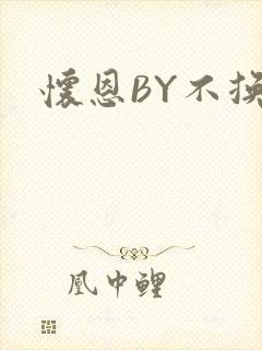 怀恩BY不换