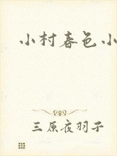 小村春色小说