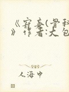 《宠妾(骨科)》作者:大包子