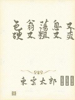 色翁荡息又大又硬又粗又爽电影