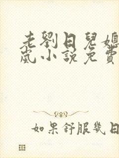 老刘日儿媳妇张岚小说免费阅读