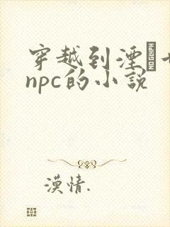 穿越到湮婸世界npc的小说