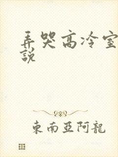 弄哭高冷室友小说