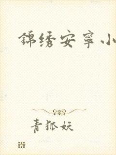 锦绣安宁小说