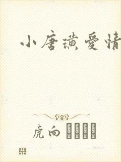 小唐璜爱情历史