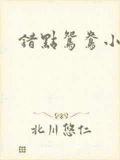 错点鸳鸯小说