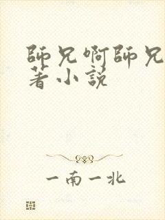 师兄啊师兄的原著小说