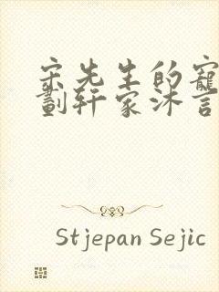 宋先生的宠妻计划轩家沐言
