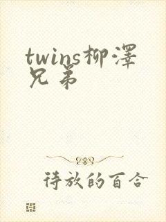 twins柳泽兄弟