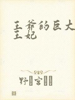 王爷的巨大进入王妃