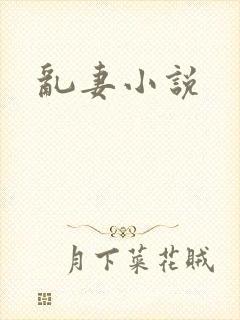 乱妻小说
