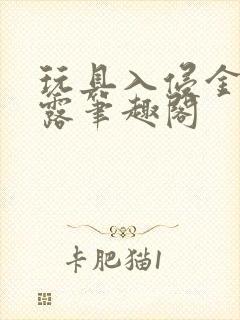 玩具入侵金银花露笔趣阁