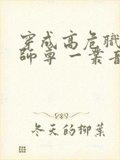 穿成高危职业之师尊 一丛音