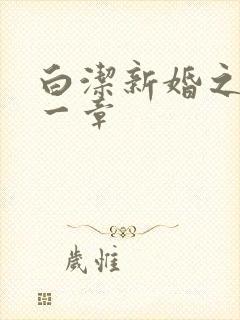 白洁新婚之夜第一章