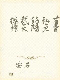 总裁的私有宝贝穆天阳免费