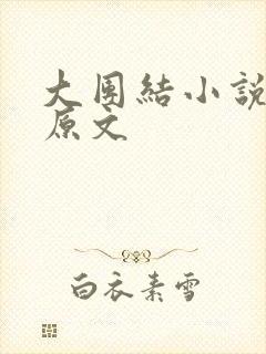 大团结小说阅读原文