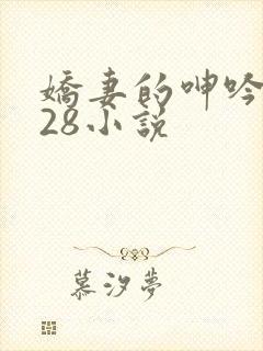 娇妻的呻吟1—28小说