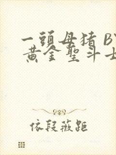 一头母猪 BY 黄金圣斗士