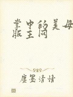 掌中的美母第一版主网