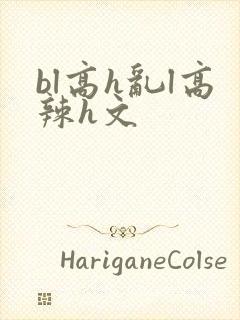 bl高h乱l高辣h文