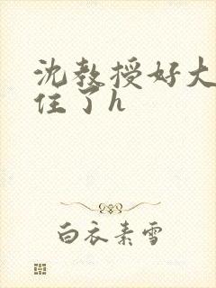 沈教授好大含不住了h