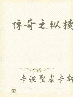 传奇之纵横玛法