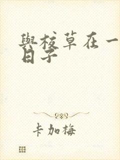 与校草在一起的日子