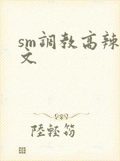 sm调教高辣h文