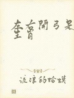 左右开弓是什么生肖