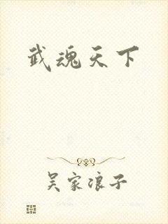 武魂天下