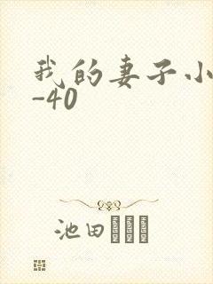 我的妻子小谨1-40