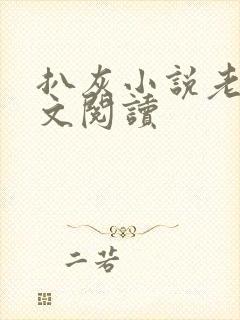 扒灰小说老马全文阅读