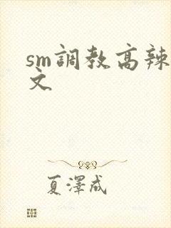 sm调教高辣h文