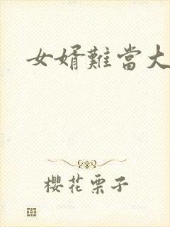 女婿难当大结局