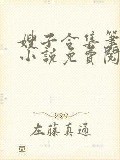 嫂子合集笔趣阁小说免费阅读