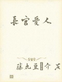 长官爱人