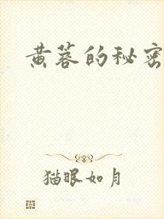 黄蓉的秘密