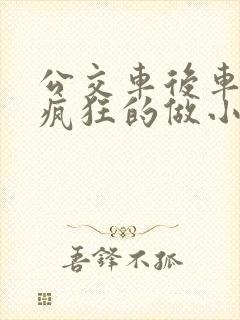 公交车后车座的疯狂的做小