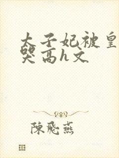 太子妃被皇上c哭高h文