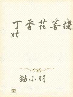 丁香花菩提树txt