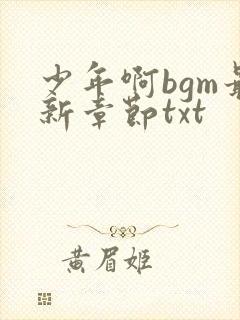 少年啊bgm最新章节txt